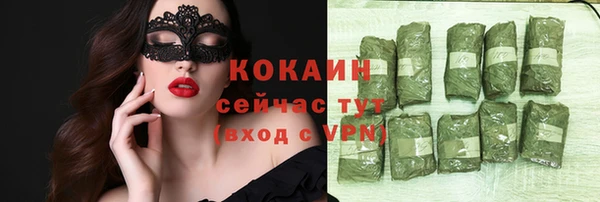гидра Аркадак