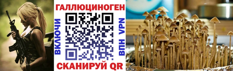 Купить где  Бирск  Галлюциногенные грибы Magic Shrooms 